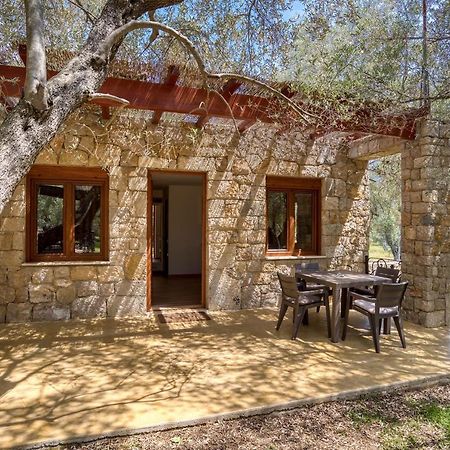 Stonehouse In Olives Apartment Ulcinj Exterior photo