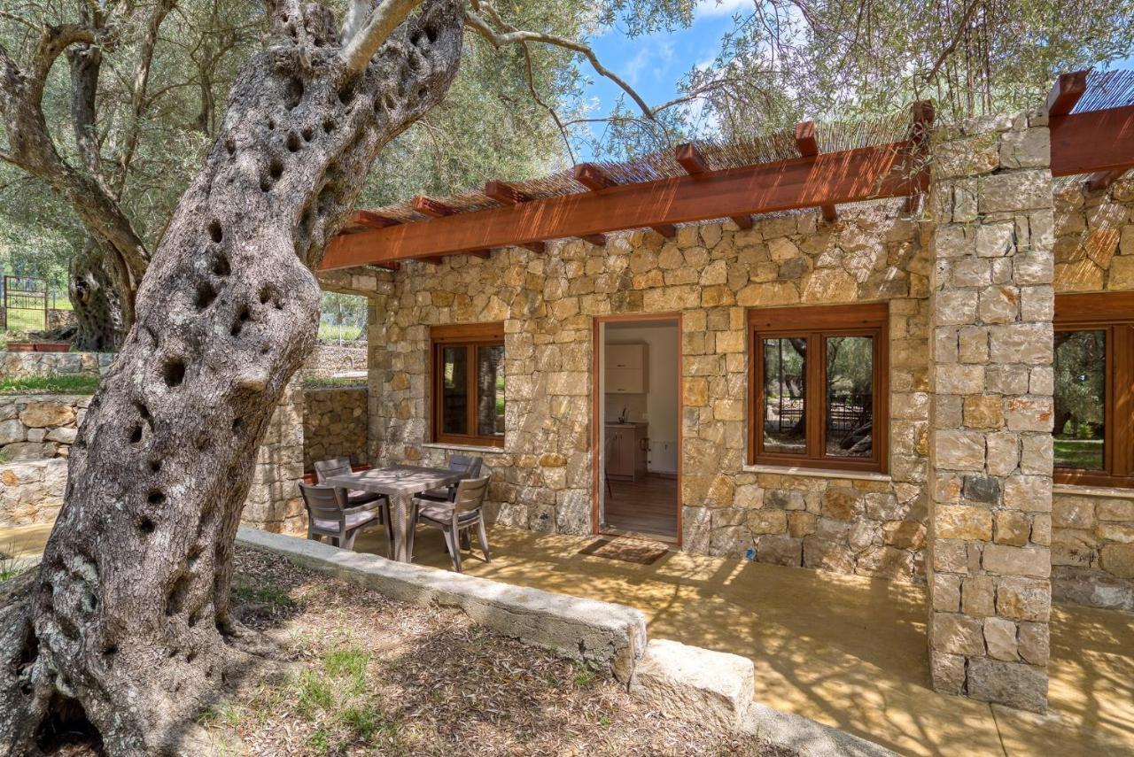 Stonehouse In Olives Apartment Ulcinj Exterior photo