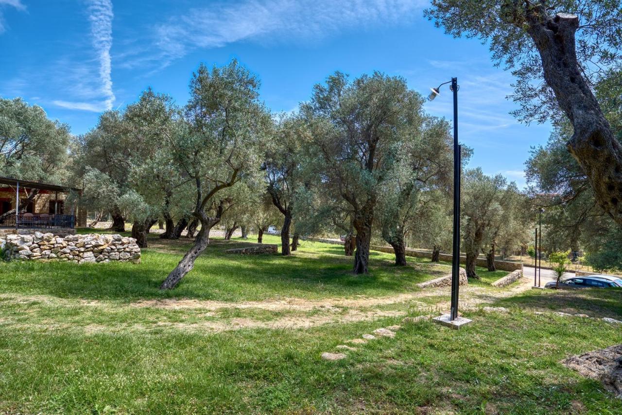 Stonehouse In Olives Apartment Ulcinj Exterior photo